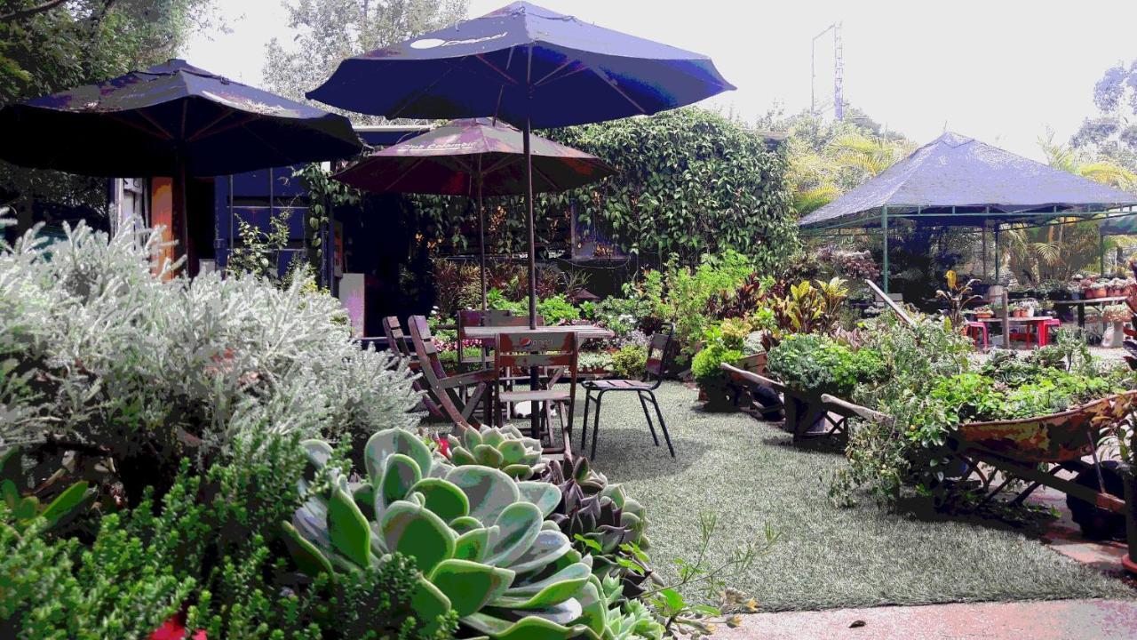 Star Center Hotel Boutique Rionegro Luaran gambar